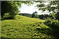 Mid Devon : Grassy Field