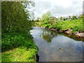 Blackadder Water, Greenlaw