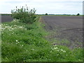 TL5387 : Farmland and dike on Fodder Fen by Richard Humphrey