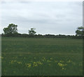 Farmland south of market Rasen