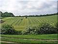 Gathering in the silage