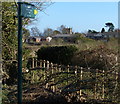 Footpath to Heather