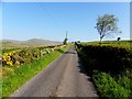 Minor road, near Cranagh