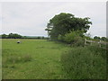 Field edge boundary above Lower Lark