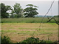 Hayfield partially mown