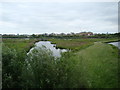 View of houses on Wyatt Drive and Chelsea Power Station from Peacock Tower in the London Wetlands Centre #2