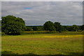 Field south-west of Church Wood