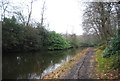 Basingstoke Canal