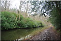 Basingstoke Canal