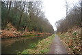 Towpath in the Deepcut