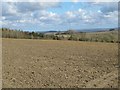 Farmland south of Shildonhill