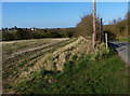 Farmland next to Newton Road