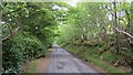 NY9699 : Lane beneath Harehaugh Hill by Richard Webb