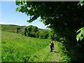 Field edge footpath.