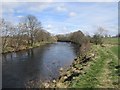 River Earn, Templemill