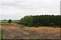 New plantation on Dorrington Fen