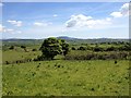 View from Cumsons Road, Tullyvallan