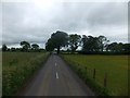 Trees lining the track to Middlewick Barton