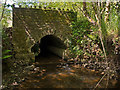 SS5622 : Oakenhill Bridge as seen from down stream by Roger A Smith
