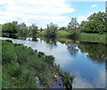 A bankside view of the River Wye, Llyswen