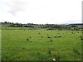 Formil Townland