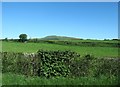 Farmland west of the B113