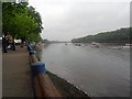 The River Thames opposite the Dukes Head