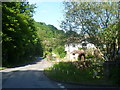 Looking along Basted Lane