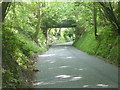 Bridge across Quarry Hill Road