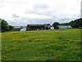 Buttercup meadow, Hall House Farm
