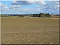 Farmland south of Laker Hall (3)