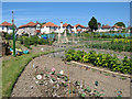 Allotment gardens