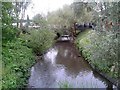 The River Colne by the Tesco superstore