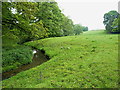 A meadow and a stream below Betchton House