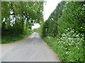 Cemetery Lane near Hadlow