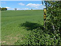 Footpath along Harborough Road