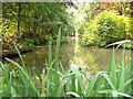 Windlesham Arboretum, Lake