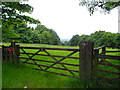 Bridleway near Manor Farm, High Beach