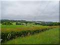 Hobbs Cross Golf Centre, M11 and pylons