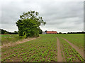 Path towards Envilles Farm