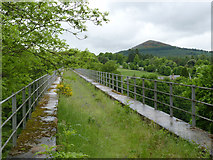 NT5734 : Leaderfoot Viaduct by Alan Murray-Rust