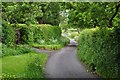 North Somerset : Winters Lane