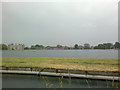 View of houses on Lordship Road from the New River Walkway