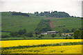 Fields at North Murie, Carse of Gowrie