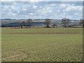 NZ0565 : Farmland north of Crookhill Farm by Mike Quinn