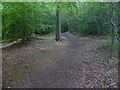 Path on Sevenoaks Common