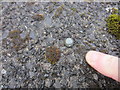 Ordnance Survey Rivet