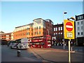 Evening Light and Buses