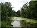 View of a lake in Wanstead Park #9