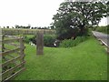 Duck pond by the roadside